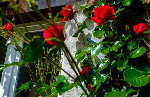 La Maison du Parc Affaires et Tourisme - Foto 25