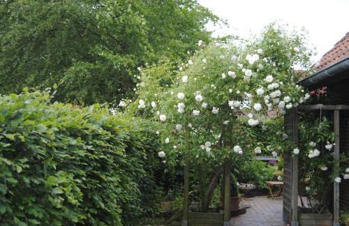 Ferienwohnung Seeschwalbe - Foto 23