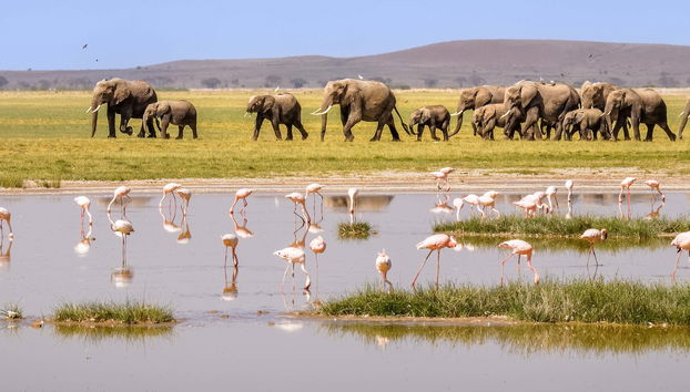 Safari privado de 3 días por el Parque Nacional de Amboseli