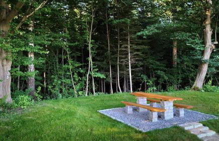 Domek Dzikie Lisko - Foto 9