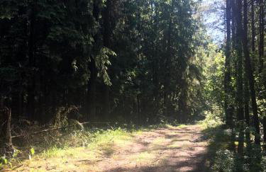 Apartament Pod Wiśnią - Foto 22