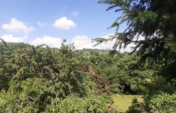 Villa Le Palmine - Foto 44