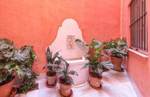 Ohliving Virgenes 7 - Photo 57