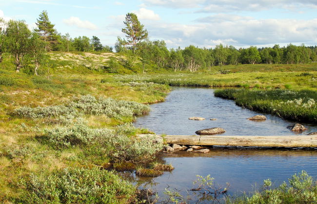 Storsätern Dyllen - Foto 5