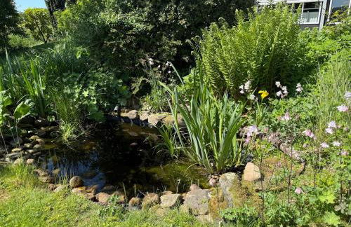 Lieblingsort Susanna - Foto 11