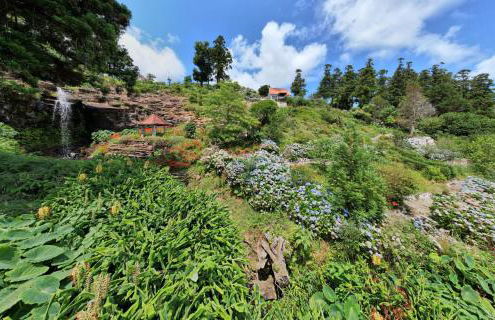 Flores Garden Retreat - Foto 37