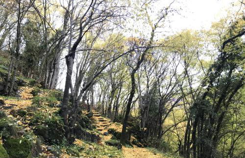 LA GARGANTILLA - Foto 27