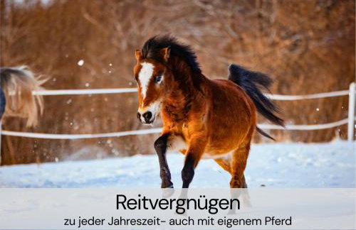 HexenburgbeiDresden mit Faßsauna Stylishes Designerappartement mit Schlafsofa, Terrasse - Nähe Sächsische Schweiz Dresden - Foto 28