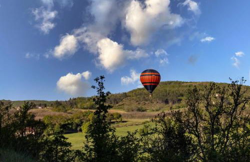 Le Pigeonnier de Sinzelle - Foto 30