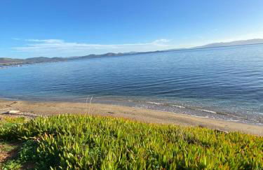 Meintis Apartments Rafina - Foto 32