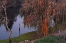 Cantinho do Rio - Foto 43