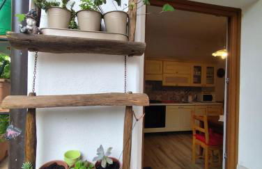 La Cinciallegra - Locazione Turistica - Foto 14