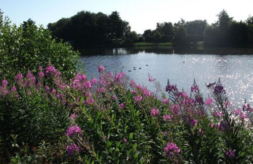 Apartment Landromantik mit traumhaftem Seeblick by Interhome - Foto 23