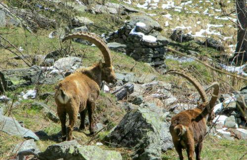 Stone Cabin With Views Over Balme Valley - Foto 10
