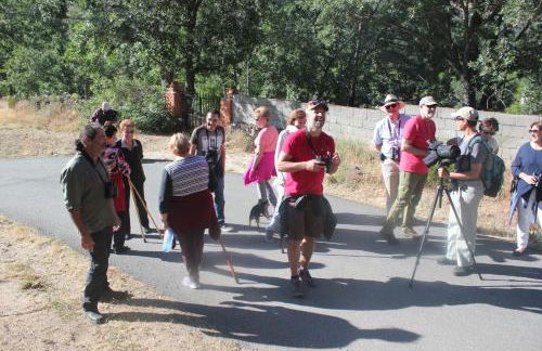 Las Tejeruelas Casa Rural - Foto 41