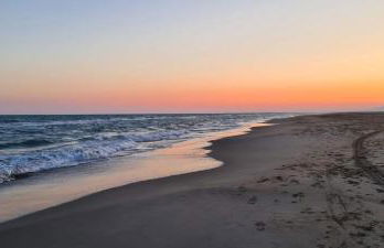 Lo de Joel - Foto 25