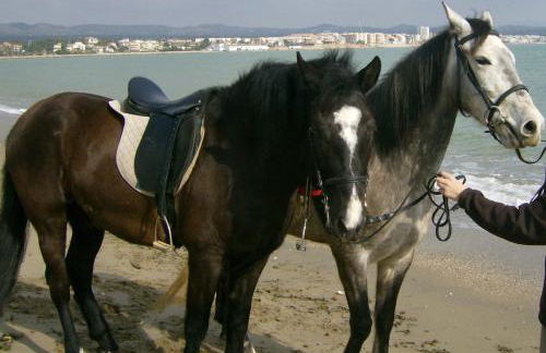 Finca Gamundi - Foto 16