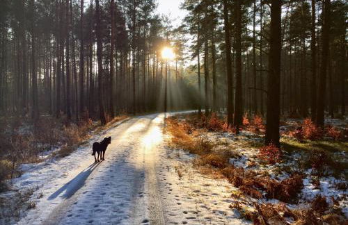 Fewo "Auszeit" Schwanow mit großem Balkon - Foto 28