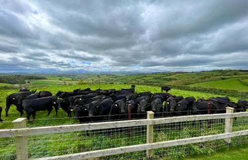 Dog friendly, Roof top hot tub, Panoramic views. - Foto 43