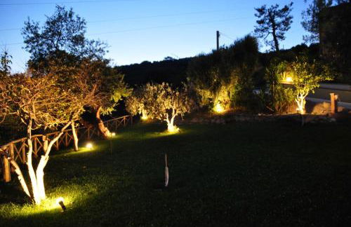 Agriturismo MonteMaggio - Foto 58