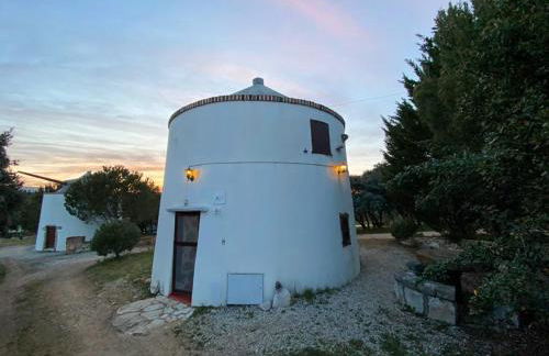 Moinho Da Pena - Alojamento Local - Foto 5