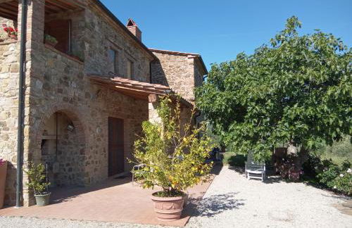 Sport Bikes and Nature - Foto 6