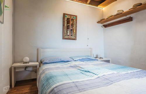 Casa Palmera - Photo 17