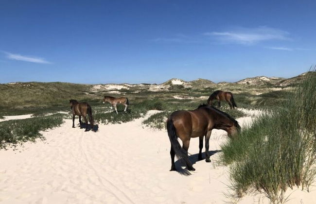 Holiday Home Klein Geluk - Foto 11