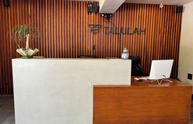 Talulah Living - Photo 4