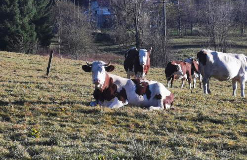 Charmant appartement de montagne avec balcon - Foto 17