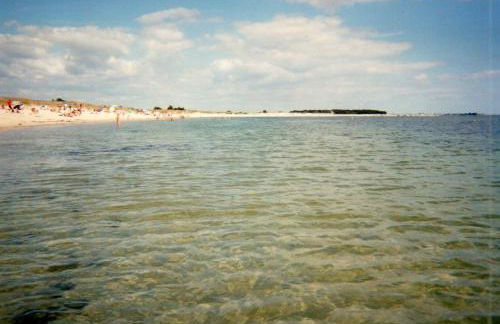 MAISON AVEC JARDIN PROCHE MER - Foto 37