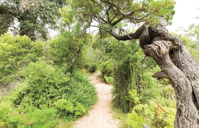 Anchor Belle Holiday Park - Foto 78