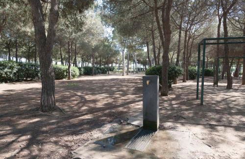 Basic Platja - Foto 32