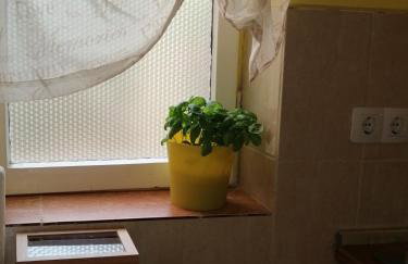 Sol apartman - Photo 13