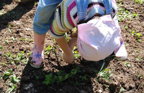 Agriturismo Fattoria Walden - Foto 45