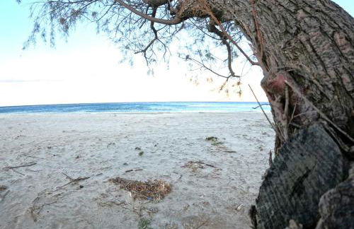 Verde Home - Foto 32