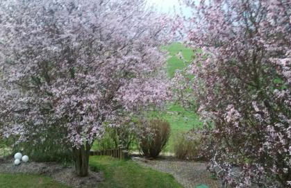 Ferienwohnung Auenland - Photo 25