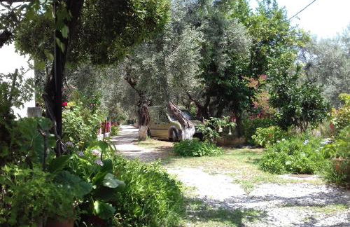 Koutadelias rooms - Foto 71