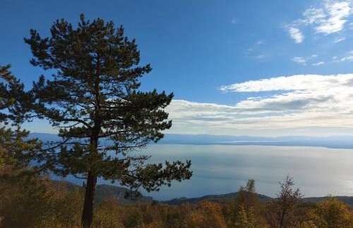 Apartments Dalia - Foto 80