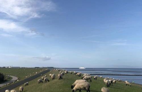 Wind und Meer - traumhaft an der Nordsee - Foto 26