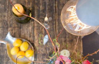 Austernfischer - Photo 13