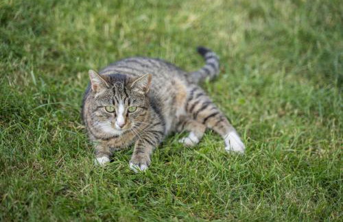 Klausenhansenhof - Foto 9