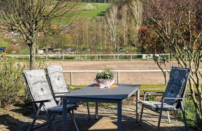 Apartment in the Odenwald With Terrace - Foto 30