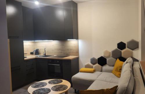 KLIF 3 Mini-Apartament - Foto 8