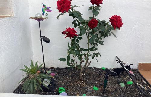 Mar&sun Casa Florida - Foto 7