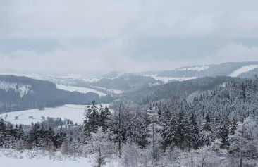 Ferienhaus Junge Ruhr - Foto 30