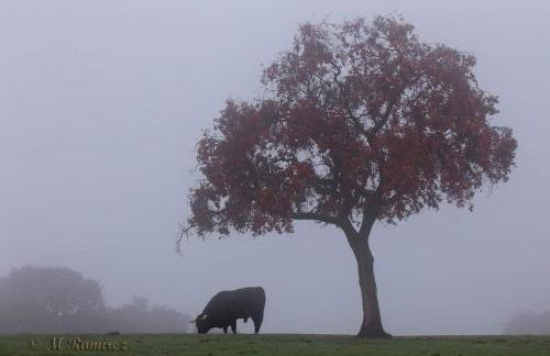 La Casa del Paseo - Foto 32