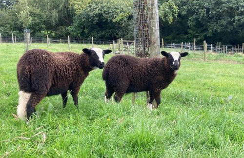 2 Bed in Bude oc-00952 - Foto 25