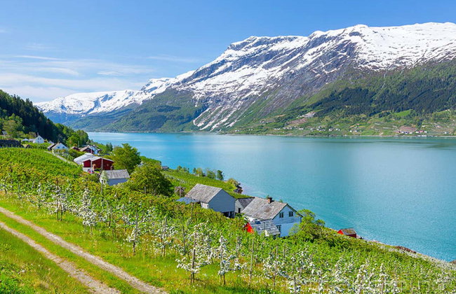 Excursión al fiordo de Hardanger + Teleférico Voss Gondol - Foto 9