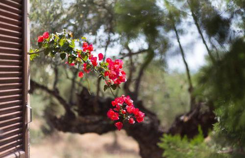 Small paradise in Saint Nicolas Village ! - Foto 36